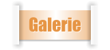 Galerie